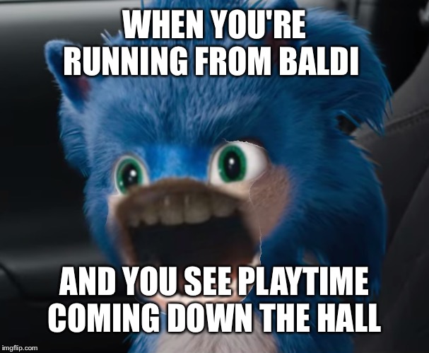 Sonic Movie | WHEN YOU'RE RUNNING FROM BALDI; AND YOU SEE PLAYTIME COMING DOWN THE HALL | image tagged in sonic movie | made w/ Imgflip meme maker