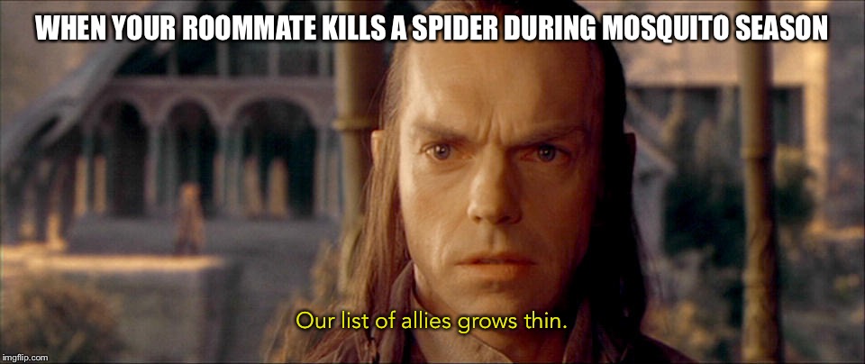 Lord Elrond | WHEN YOUR ROOMMATE KILLS A SPIDER DURING MOSQUITO SEASON; Our list of allies grows thin. | image tagged in lord elrond | made w/ Imgflip meme maker