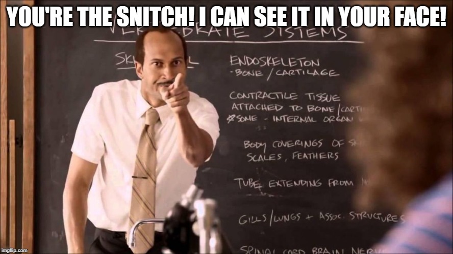 Key and Peele Substitute Teacher | YOU'RE THE SNITCH! I CAN SEE IT IN YOUR FACE! | image tagged in key and peele substitute teacher | made w/ Imgflip meme maker