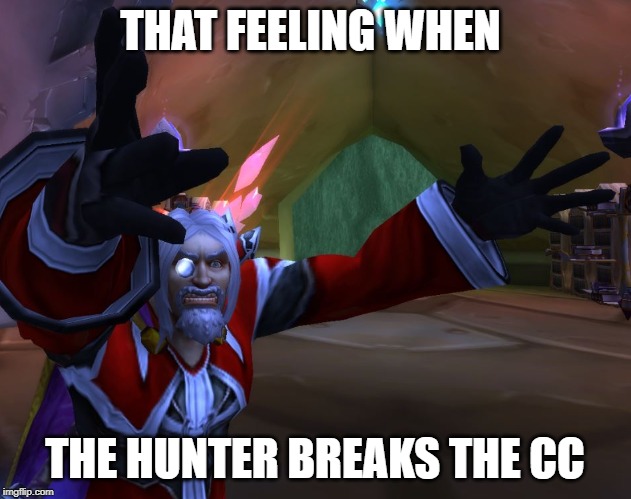 Broke the CC | THAT FEELING WHEN; THE HUNTER BREAKS THE CC | image tagged in hunter,wow,cc | made w/ Imgflip meme maker