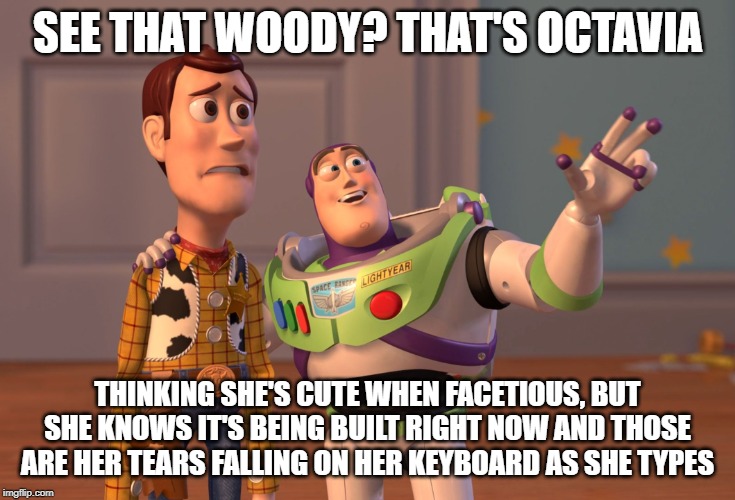 X, X Everywhere Meme | SEE THAT WOODY? THAT'S OCTAVIA THINKING SHE'S CUTE WHEN FACETIOUS, BUT SHE KNOWS IT'S BEING BUILT RIGHT NOW AND THOSE ARE HER TEARS FALLING  | image tagged in memes,x x everywhere | made w/ Imgflip meme maker