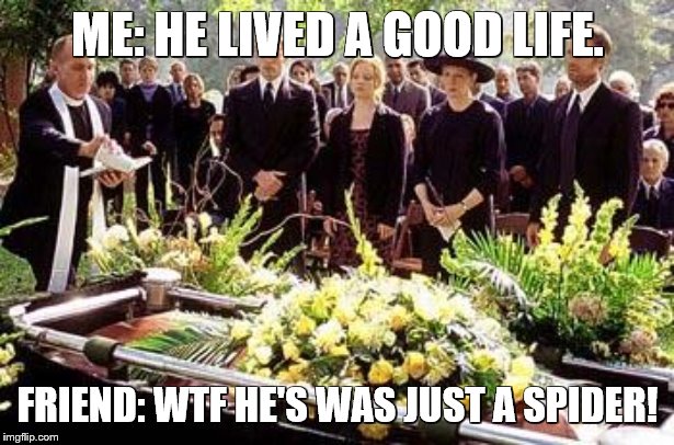 Funeral | ME: HE LIVED A GOOD LIFE. FRIEND: WTF HE'S WAS JUST A SPIDER! | image tagged in funeral | made w/ Imgflip meme maker