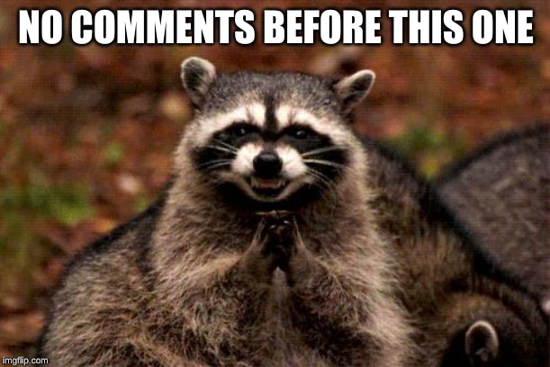 Evil Plotting Raccoon Meme | NO COMMENTS BEFORE THIS ONE | image tagged in memes,evil plotting raccoon | made w/ Imgflip meme maker