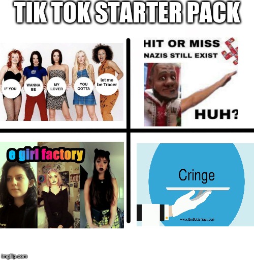 Blank Starter Pack Meme | TIK TOK STARTER PACK | image tagged in memes,blank starter pack,tik tok,nazi,e girl,lol | made w/ Imgflip meme maker