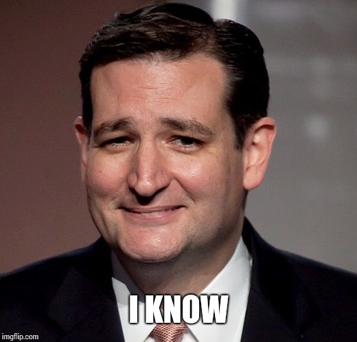 ted cruz | I KNOW | image tagged in ted cruz | made w/ Imgflip meme maker