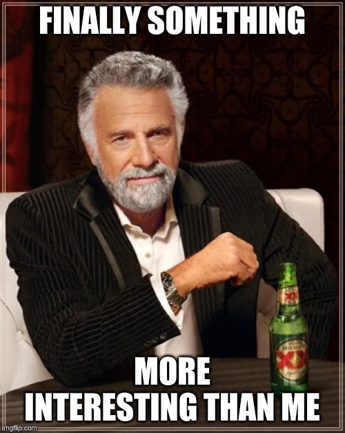 The Most Interesting Man In The World Meme | FINALLY SOMETHING MORE INTERESTING THAN ME | image tagged in memes,the most interesting man in the world | made w/ Imgflip meme maker