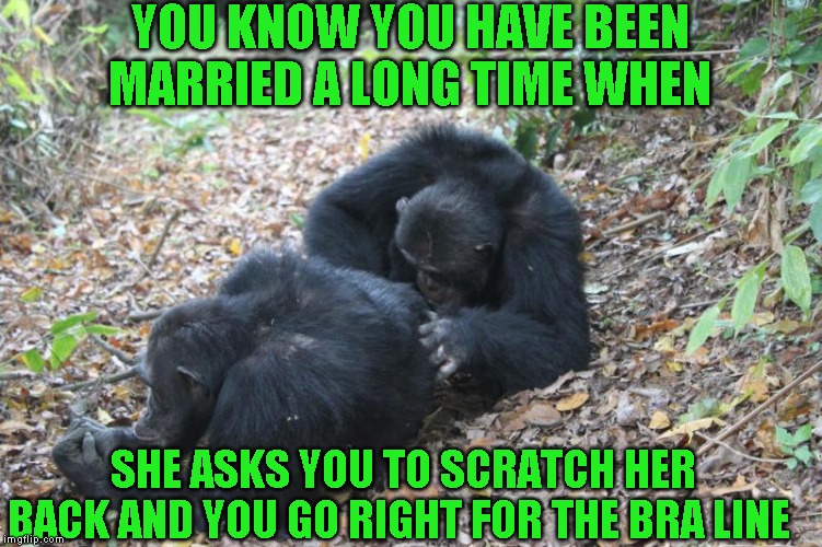 Just a thought | YOU KNOW YOU HAVE BEEN MARRIED A LONG TIME WHEN; SHE ASKS YOU TO SCRATCH HER BACK AND YOU GO RIGHT FOR THE BRA LINE | image tagged in scratch my back,married people know | made w/ Imgflip meme maker