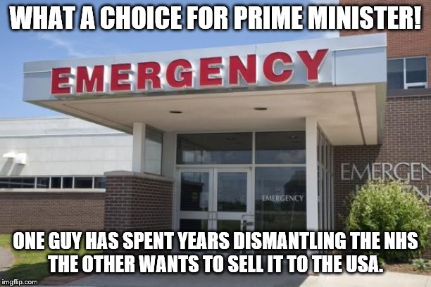Hospital Entrance | WHAT A CHOICE FOR PRIME MINISTER! ONE GUY HAS SPENT YEARS DISMANTLING THE NHS
THE OTHER WANTS TO SELL IT TO THE USA. | image tagged in hospital entrance | made w/ Imgflip meme maker