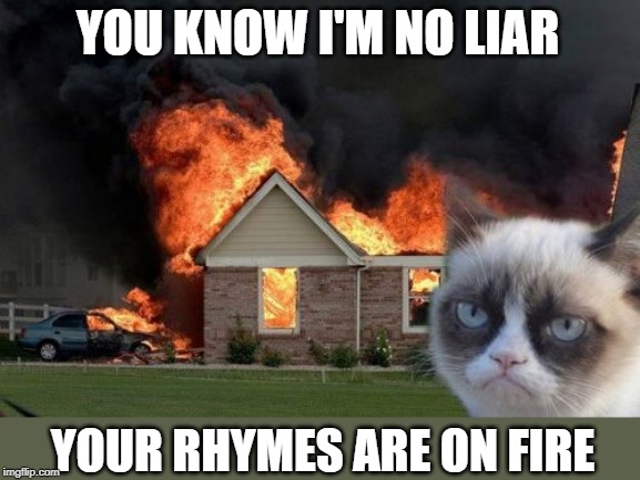 Burn Kitty Meme | YOU KNOW I'M NO LIAR YOUR RHYMES ARE ON FIRE | image tagged in memes,burn kitty,grumpy cat | made w/ Imgflip meme maker