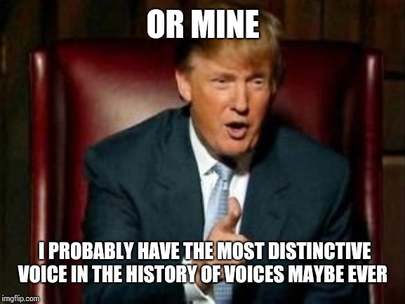 Donald Trump | OR MINE; I PROBABLY HAVE THE MOST DISTINCTIVE VOICE IN THE HISTORY OF VOICES MAYBE EVER | image tagged in donald trump | made w/ Imgflip meme maker