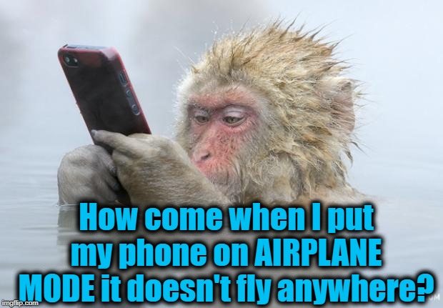 monkey mobile phone | How come when I put my phone on AIRPLANE MODE it doesn't fly anywhere? | image tagged in monkey mobile phone | made w/ Imgflip meme maker