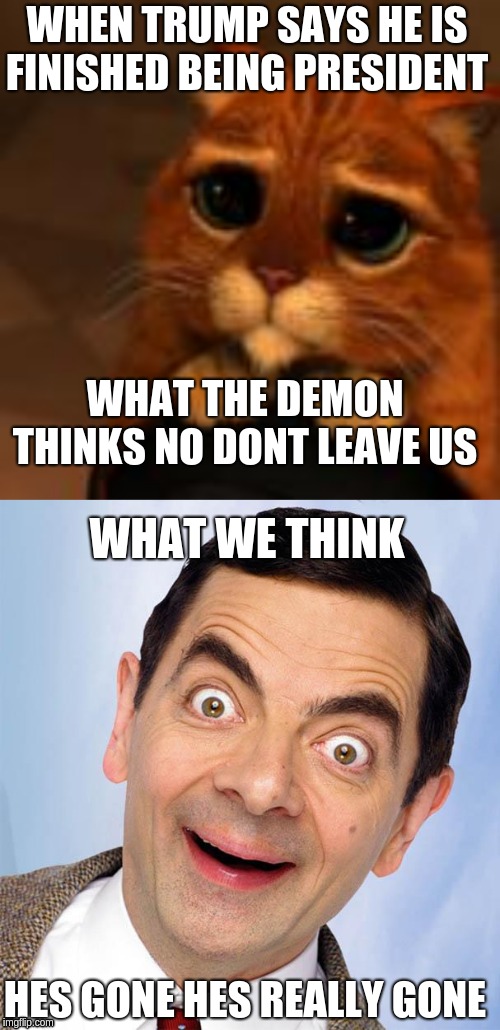 Try not to laugh | WHEN TRUMP SAYS HE IS FINISHED BEING PRESIDENT; WHAT THE DEMON THINKS NO DONT LEAVE US; WHAT WE THINK; HES GONE HES REALLY GONE | image tagged in mr bean excited | made w/ Imgflip meme maker