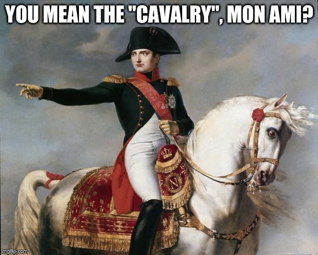 Napoleon Bonaparte | YOU MEAN THE "CAVALRY", MON AMI? | image tagged in napoleon bonaparte | made w/ Imgflip meme maker