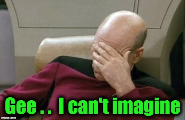 Captain Picard Facepalm Meme | Gee . .  I can't imagine | image tagged in memes,captain picard facepalm | made w/ Imgflip meme maker