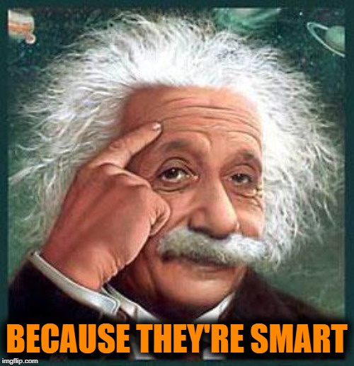 einstein | BECAUSE THEY'RE SMART | image tagged in einstein | made w/ Imgflip meme maker