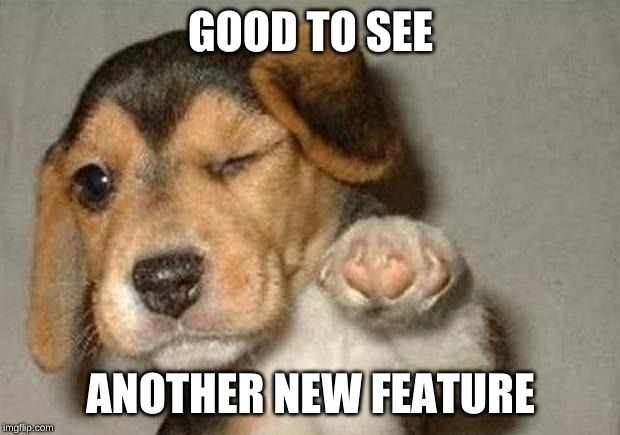 Winking Dog | GOOD TO SEE ANOTHER NEW FEATURE | image tagged in winking dog | made w/ Imgflip meme maker