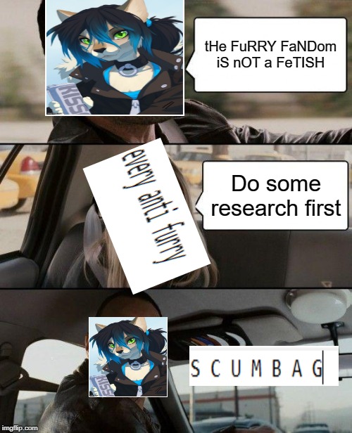 aNGeR iSSuIEs!!!!!!!111 | tHe FuRRY FaNDom iS nOT a FeTISH; Do some research first | image tagged in memes,the rock driving,anti furry,screw your mom | made w/ Imgflip meme maker