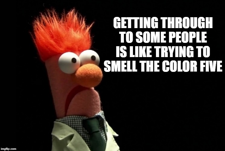 GETTING THROUGH TO SOME PEOPLE IS LIKE TRYING TO SMELL THE COLOR FIVE | image tagged in muppet | made w/ Imgflip meme maker