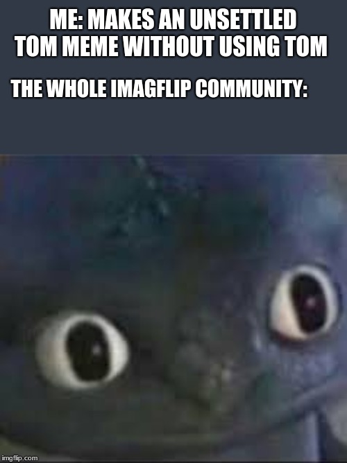 Toothless ._. face | ME: MAKES AN UNSETTLED TOM MEME WITHOUT USING TOM; THE WHOLE IMAGFLIP COMMUNITY: | image tagged in toothless _ face | made w/ Imgflip meme maker