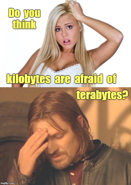 Needs Help With Her PC | Do  you    think; kilobytes  are  afraid  of; terabytes? | image tagged in dumb blonde,frustrated boromir,funny memes,rick75230 | made w/ Imgflip meme maker