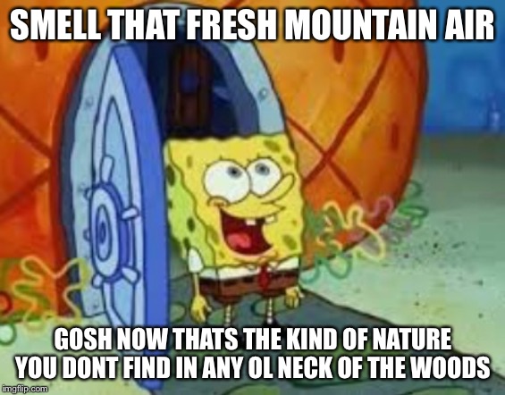 Camp Camp Daniel Reference | SMELL THAT FRESH MOUNTAIN AIR; GOSH NOW THATS THE KIND OF NATURE YOU DONT FIND IN ANY OL NECK OF THE WOODS | image tagged in daniel,camp camp,camping,cult,memes,reference | made w/ Imgflip meme maker