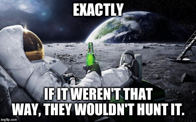 Chillin' Astronaut | EXACTLY IF IT WEREN'T THAT WAY, THEY WOULDN'T HUNT IT. | image tagged in chillin' astronaut | made w/ Imgflip meme maker