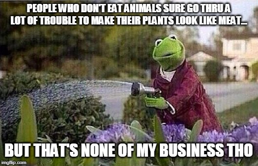 Kermit Watering Plants | PEOPLE WHO DON'T EAT ANIMALS SURE GO THRU A LOT OF TROUBLE TO MAKE THEIR PLANTS LOOK LIKE MEAT... BUT THAT'S NONE OF MY BUSINESS THO | image tagged in kermit watering plants | made w/ Imgflip meme maker
