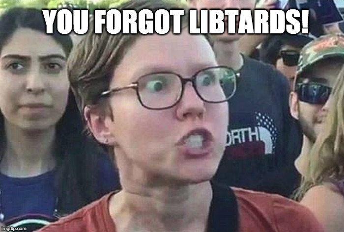 Triggered Liberal | YOU FORGOT LIBTARDS! | image tagged in triggered liberal | made w/ Imgflip meme maker