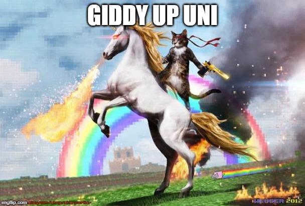 Cat riding unicorn | GIDDY UP UNI | image tagged in cat riding unicorn | made w/ Imgflip meme maker