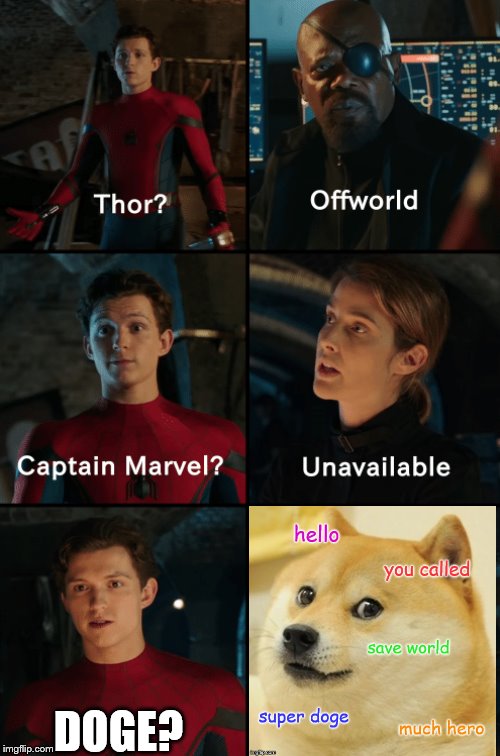 Thor off-world captain marvel unavailable | DOGE? | image tagged in thor off-world captain marvel unavailable | made w/ Imgflip meme maker