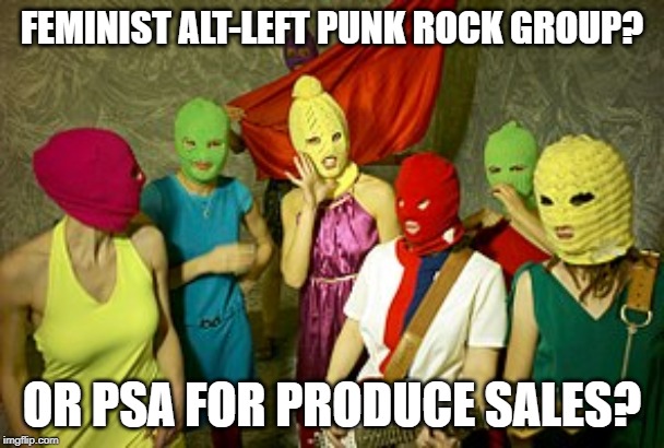 You Tell Me? | FEMINIST ALT-LEFT PUNK ROCK GROUP? OR PSA FOR PRODUCE SALES? | image tagged in rock and roll,punk rock | made w/ Imgflip meme maker