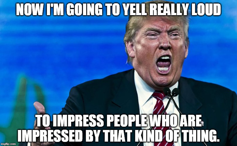 Noisy Trump | NOW I'M GOING TO YELL REALLY LOUD; TO IMPRESS PEOPLE WHO ARE IMPRESSED BY THAT KIND OF THING. | image tagged in angry trump,trump,yell,shout,bellow,shriek | made w/ Imgflip meme maker