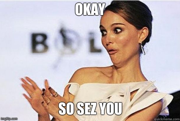 Sarcastic Natalie Portman | OKAY SO SEZ YOU | image tagged in sarcastic natalie portman | made w/ Imgflip meme maker