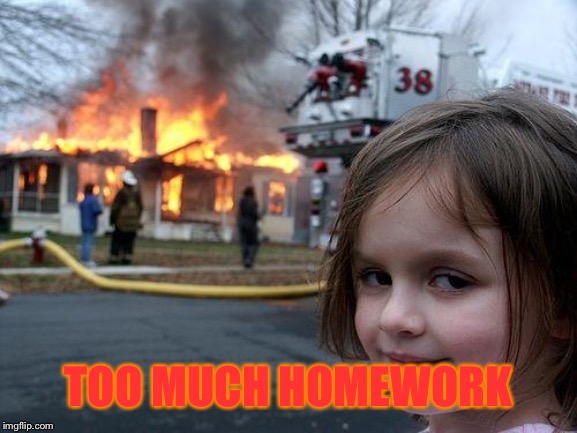 Disaster Girl Meme | TOO MUCH HOMEWORK | image tagged in memes,disaster girl | made w/ Imgflip meme maker