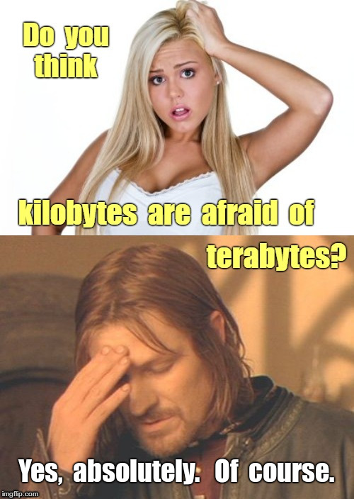 Do you think kilobytes are afraid of terabytes? Yes,  absolutely.   Of  course. | image tagged in dumb blonde,frustrated boromir,funny memes,rick75230 | made w/ Imgflip meme maker