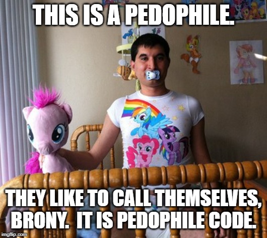 Brony | THIS IS A PEDOPHILE. THEY LIKE TO CALL THEMSELVES, BRONY.  IT IS PEDOPHILE CODE. | image tagged in brony | made w/ Imgflip meme maker