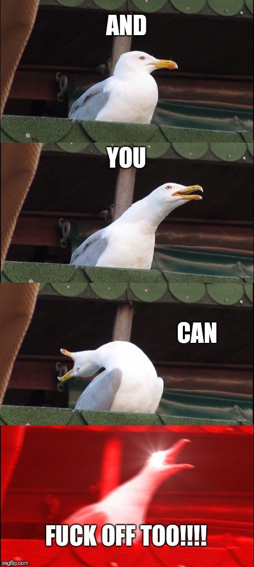 Inhaling Seagull Meme | AND YOU CAN F**K OFF TOO!!!! | image tagged in memes,inhaling seagull | made w/ Imgflip meme maker