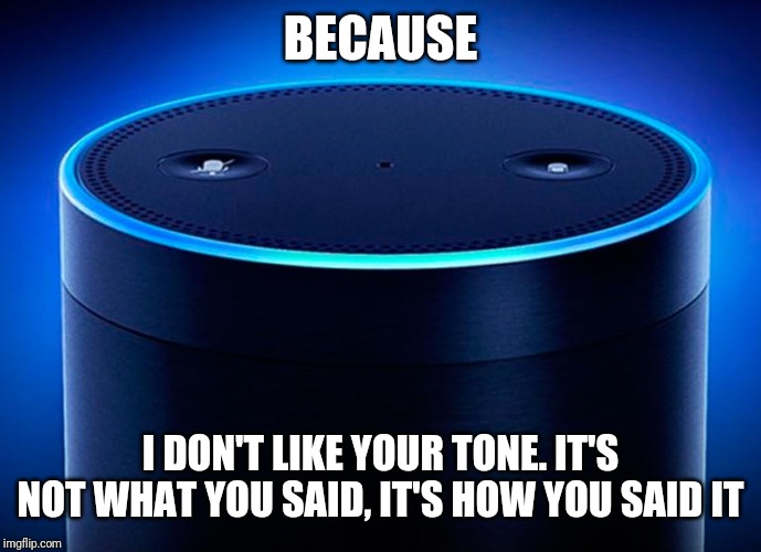 Alexa | BECAUSE I DON'T LIKE YOUR TONE. IT'S NOT WHAT YOU SAID, IT'S HOW YOU SAID IT | image tagged in alexa | made w/ Imgflip meme maker