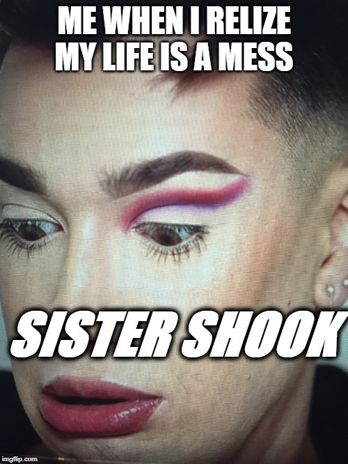 James Charles | ME WHEN I RELIZE MY LIFE IS A MESS; SISTER SHOOK | image tagged in james charles | made w/ Imgflip meme maker