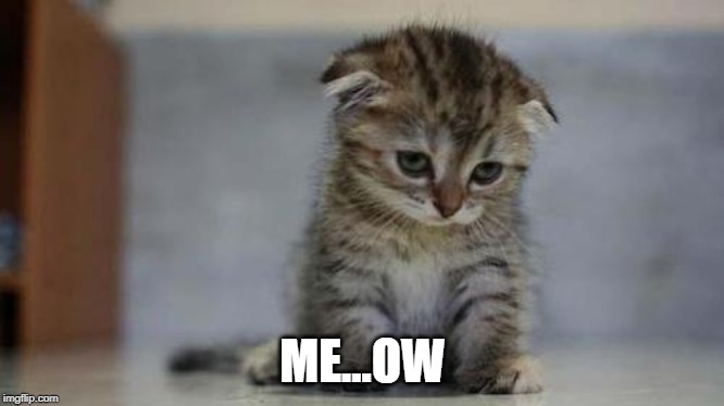 Sad kitten | ME...OW | image tagged in sad kitten | made w/ Imgflip meme maker