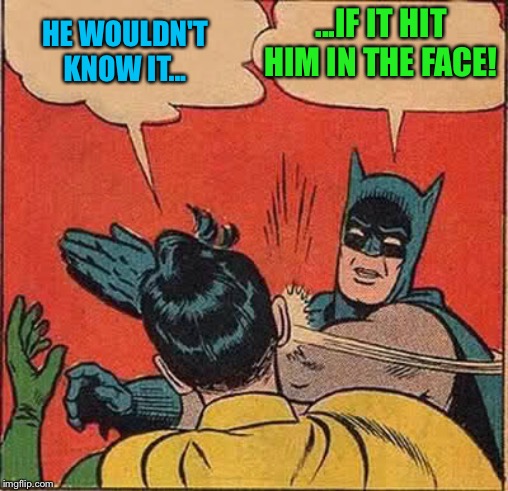 Batman Slapping Robin Meme | HE WOULDN'T KNOW IT... ...IF IT HIT HIM IN THE FACE! | image tagged in memes,batman slapping robin | made w/ Imgflip meme maker