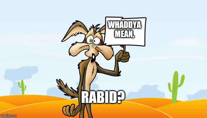 Wile E. Coyote Sign | WHADDYA MEAN, RABID? | image tagged in wile e coyote sign | made w/ Imgflip meme maker