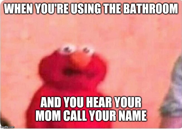 Sickened elmo | WHEN YOU'RE USING THE BATHROOM; AND YOU HEAR YOUR MOM CALL YOUR NAME | image tagged in sickened elmo | made w/ Imgflip meme maker