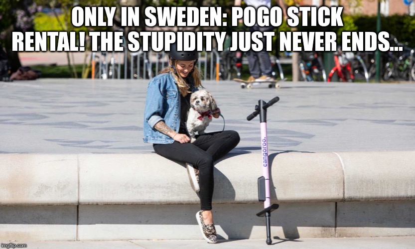 Taking your dog for a walk... or a jump | ONLY IN SWEDEN: POGO STICK RENTAL! THE STUPIDITY JUST NEVER ENDS... | image tagged in helmet,stupid people | made w/ Imgflip meme maker