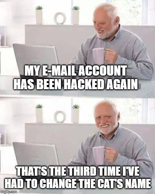 here kitty !  whatever your name is | MY E-MAIL ACCOUNT HAS BEEN HACKED AGAIN; THAT'S THE THIRD TIME I'VE HAD TO CHANGE THE CAT'S NAME | image tagged in memes,hide the pain harold,cat | made w/ Imgflip meme maker