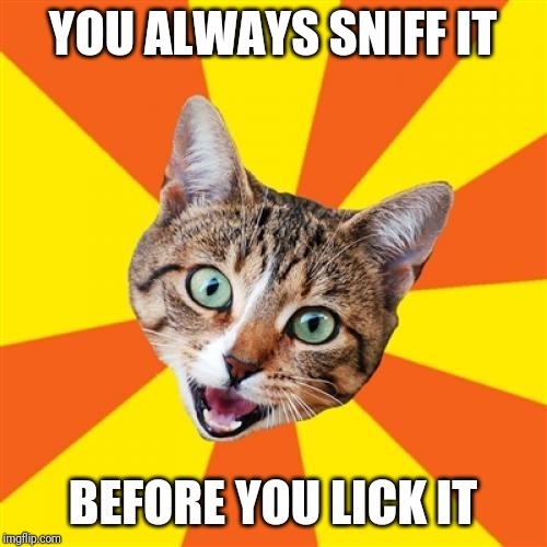 Sounds like good advice to me! | YOU ALWAYS SNIFF IT; BEFORE YOU LICK IT | image tagged in memes,bad advice cat,sniff,lick,advice,good advice | made w/ Imgflip meme maker