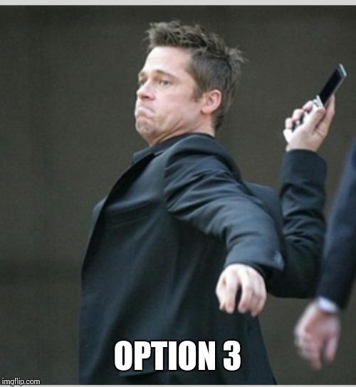 Brad Pitt throwing phone | OPTION 3 | image tagged in brad pitt throwing phone | made w/ Imgflip meme maker