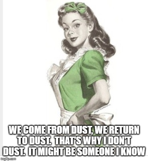 don't want to disturb my friends | WE COME FROM DUST, WE RETURN TO DUST.  THAT'S WHY I DON'T DUST.  IT MIGHT BE SOMEONE I KNOW | image tagged in cleaninmg,housewife | made w/ Imgflip meme maker