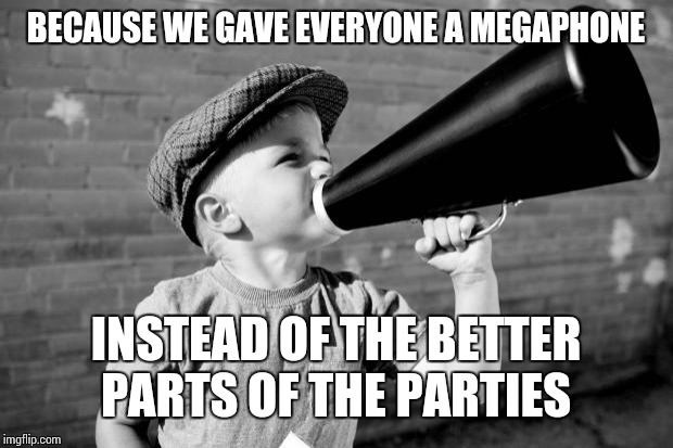 megaphone | BECAUSE WE GAVE EVERYONE A MEGAPHONE INSTEAD OF THE BETTER PARTS OF THE PARTIES | image tagged in megaphone | made w/ Imgflip meme maker