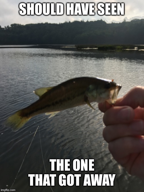 Still a better love story than Twilight | SHOULD HAVE SEEN; THE ONE THAT GOT AWAY | image tagged in gone fishing | made w/ Imgflip meme maker